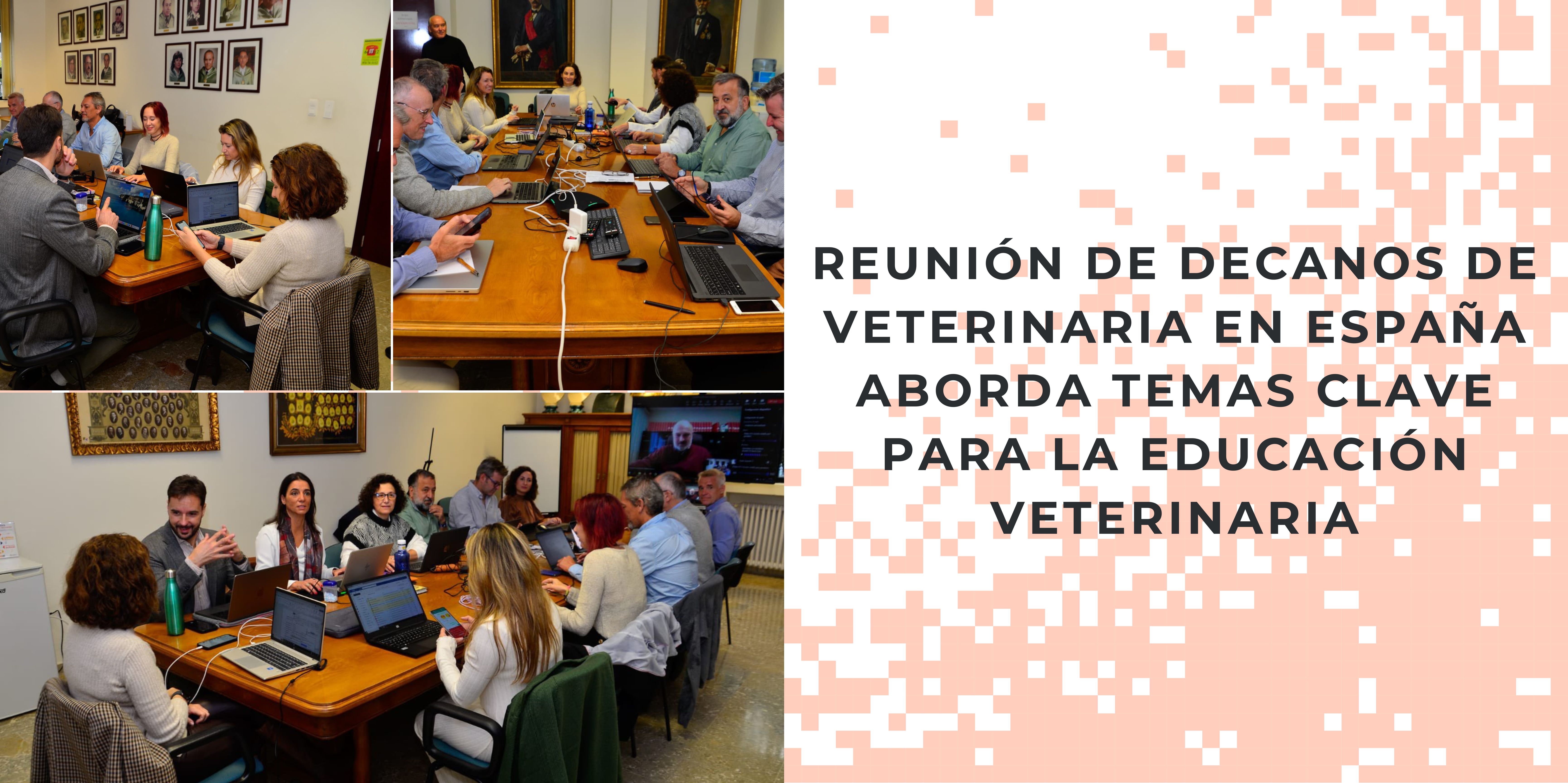 Reunión de Decanos y Decanas de Veterinaria en España aborda temas clave para la Educación Veterinaria